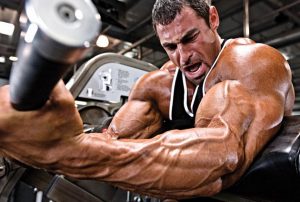 buy clenbuterol